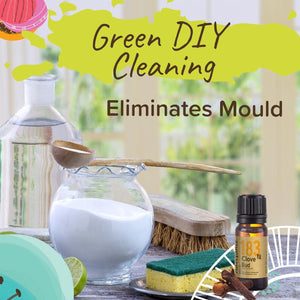 Clove Bud Essential Oil